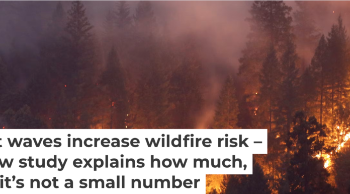 A record-tying heat wave helped spread a wildfire in Northern California’s Shasta and Trinity counties in July 2018. Terray Sylvester/Getty Images